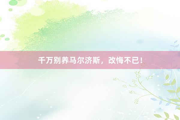 千万别养马尔济斯,改悔不已!