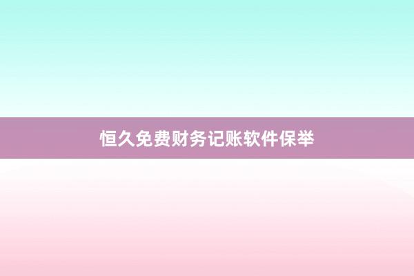 恒久免费财务记账软件保举